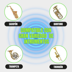Sistema de Micrófonos Inalámbricos Shure GLXD24 Doble para Instrumentos