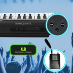 Senisei XLR Sistema Inalámbrico Dual Premium para Audio Profesional